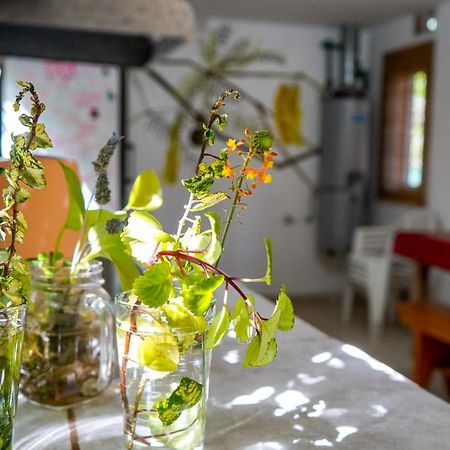 סנטה רוסה דה קלמוצ'יטה Eiru Hostel מראה חיצוני תמונה
